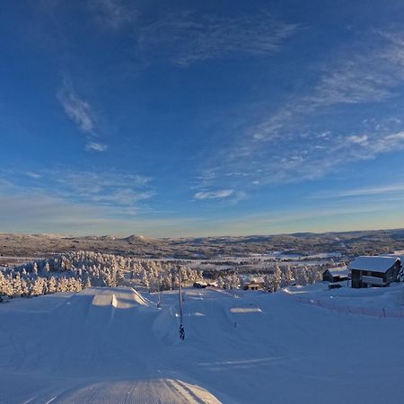Toppvillan - Ski In - Ski Out - 200 M Till Toppen Och Cykelleder Järvsö Exteriér fotografie