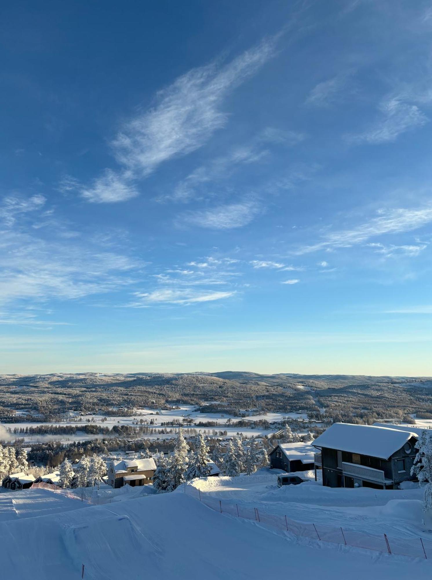 Toppvillan - Ski In - Ski Out - 200 M Till Toppen Och Cykelleder Järvsö Exteriér fotografie